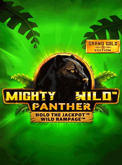 Live game show casino cover